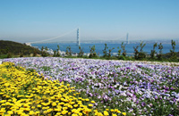 明石海峡大橋