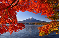 富士山